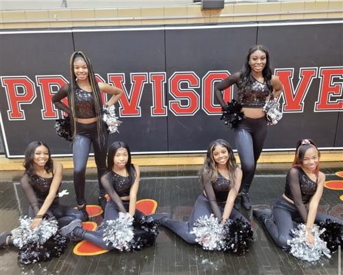 PWHS Pantherettes